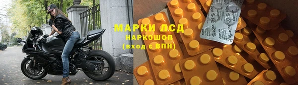 индика Богородицк