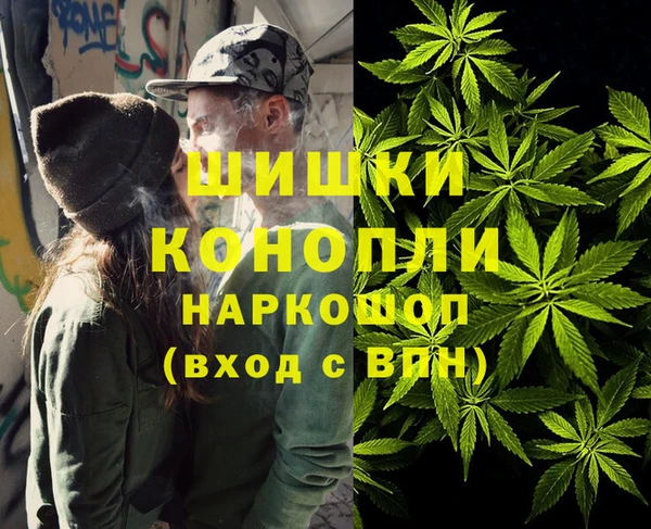 индика Богородицк